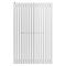 Arbiola Iris 42 H 1250-42-16 секции белый вертикальный радиатор c боковым подключением