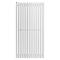 Arbiola Iris 42 H 1000-42-13 секции белый вертикальный радиатор c боковым подключением