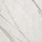 Fap Ceramiche Roma Statuario Matt 60x60 см