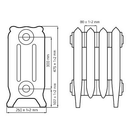 Radimax Bristol 300 9 секции чугунный радиатор