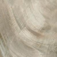 Roberto Cavalli Bright Pearl Bronze Rett. 80x80 см Напольная плитка
