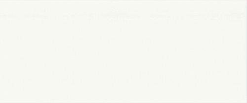 Ceramica Konskie, Neo Geo, Neo Geo biala blyszaca Плитка настенная 25х60