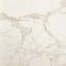 Fap Ceramiche Roma Classic Calacatta Brillante 60×60 см Напольная плитка