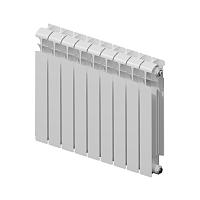 Rifar  ECOBUILD 300 09 секции биметаллический секционный радиатор 